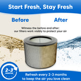 50250-S Air Purifier HEPA Filter Set Replacement for Honeywell 24000 Filter - Compatible with Honeywell 24000 Filters Model 50250 13520 50255-HD 63500 52500 83259 83186 83332 83287 83162 EV-35B with Carbon Foam Pre-Filter Prefilters