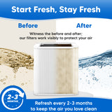 F211PACF101652 Filter for BlueAir 211 Replacement Filter - Compatible with Blue Pure 211+ Filters for Blue Air 211 Plus Purifier HEPA H13