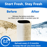 F411PACF102174 Filter for BlueAir 411 Replacement Filter - Compatible with Blue Pure 411+ Filters for Blue Air 411 Plus Series Auto Purifier HEPA H13 Parts Activated Carbon