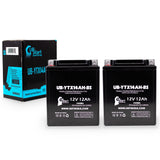 2-Pack Battery Replacement for 2002 Kawasaki KLF300-B Bayou 300 CC ATV - 12V, 12AH