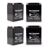 4-Pack Battery Replacement for 2001 Polaris Diesel .445 Litre (secondary) 450 CC ATV - 12V, 12AH