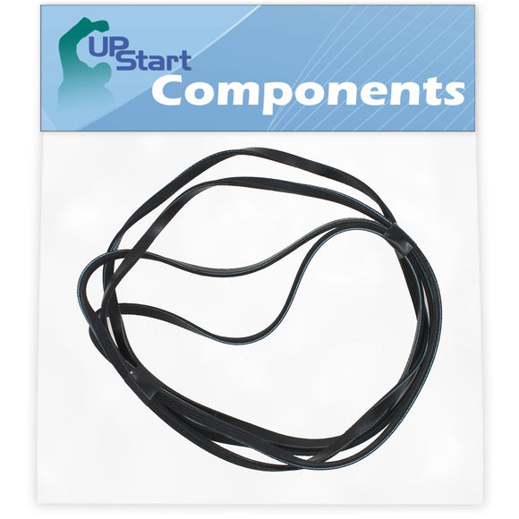 661570V Dryer Belt