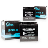 2-Pack Battery Replacement for 2010 Arctic Cat Prowler 700 700 CC UTV - 12V, 30AH