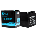 Battery Replacement for 2012 Arctic Cat Prowler 550 550 CC UTV - 12V, 30AH